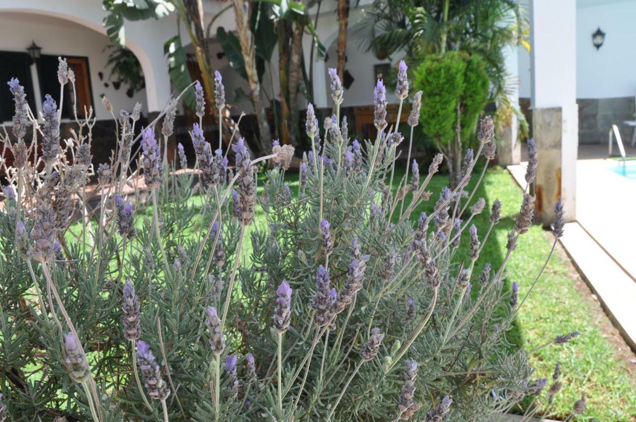 Bonita Casa Calida Para El Relax Con Wifi Valsequillo Kültér fotó