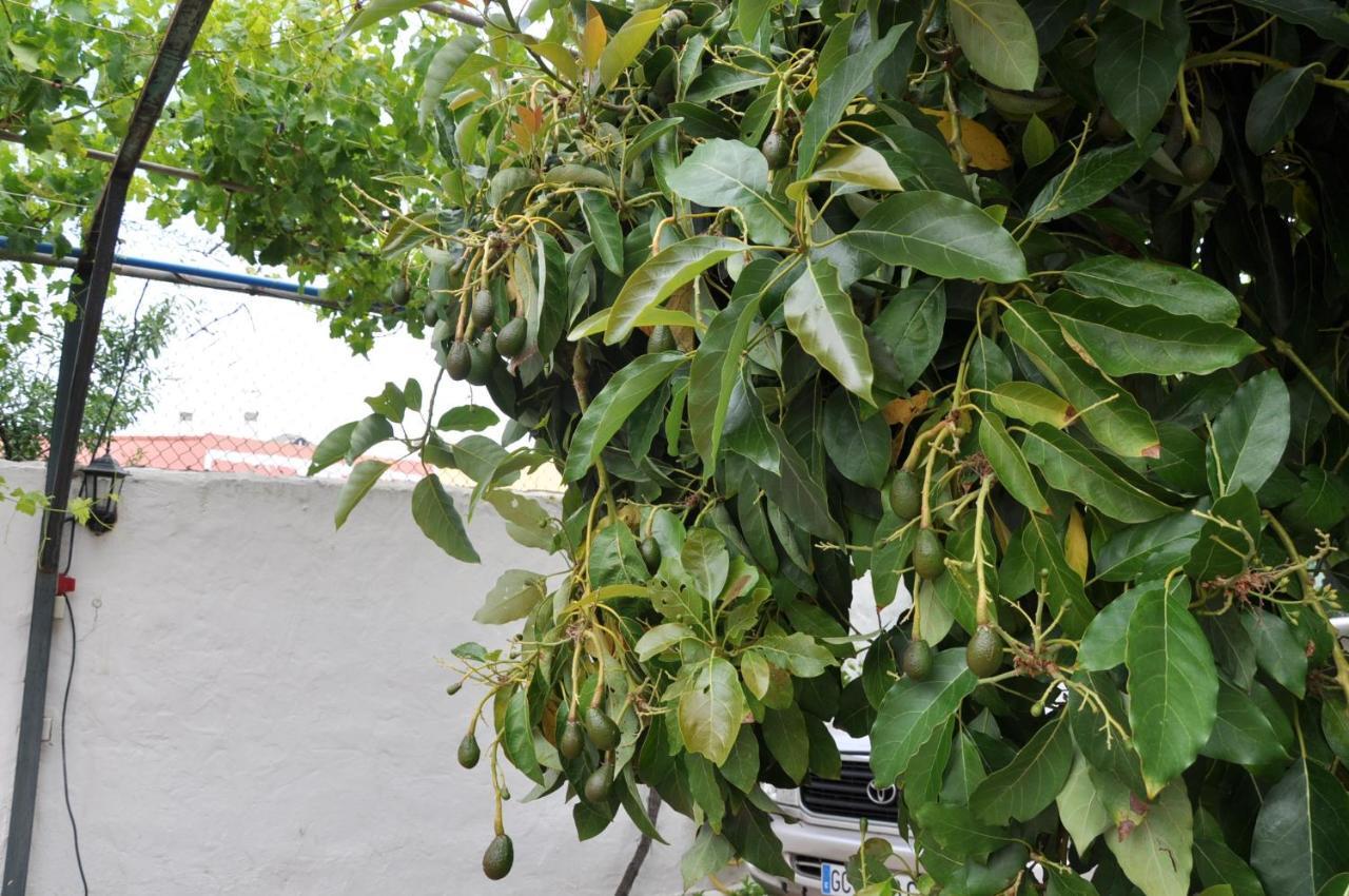 Bonita Casa Calida Para El Relax Con Wifi Villa Valsequillo Kültér fotó